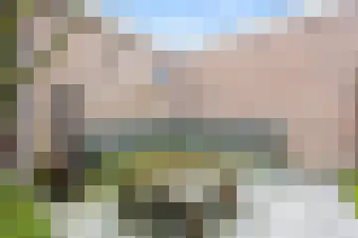 Mendelssohnlaan 40 Voorthuizen thumbnail 36