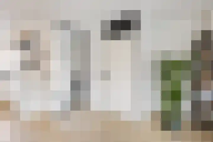 Mendelssohnlaan 40 Voorthuizen thumbnail 7