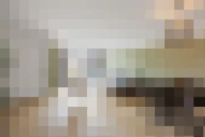 Mendelssohnlaan 40 Voorthuizen thumbnail 8