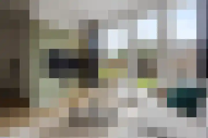 Mendelssohnlaan 40 Voorthuizen thumbnail 9