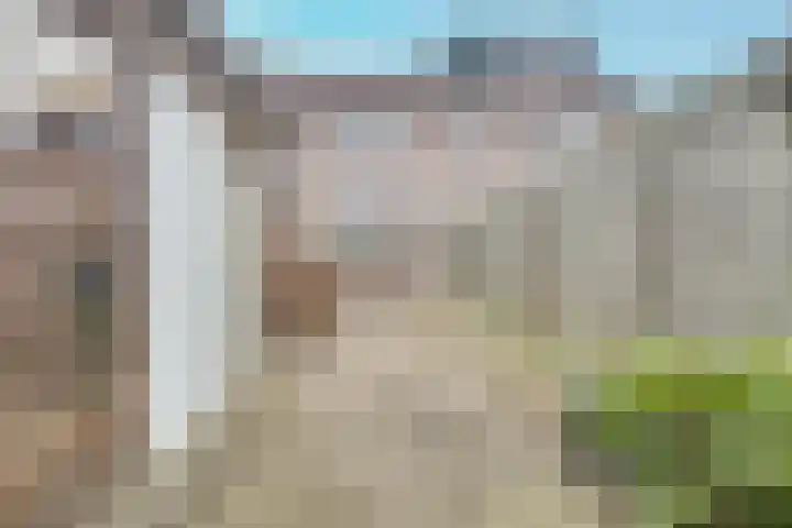 Mendelssohnlaan 41 Apeldoorn thumbnail 20