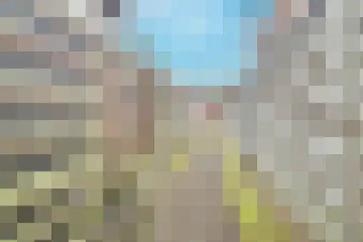 Mendelssohnlaan 41 Apeldoorn thumbnail 22