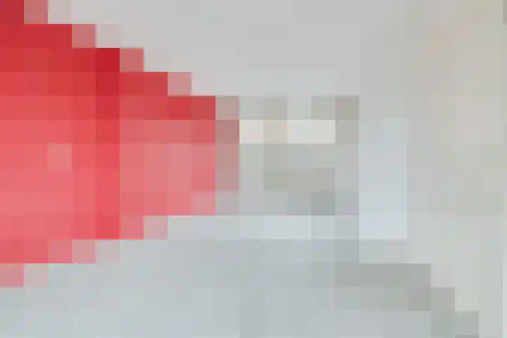 Mendelssohnlaan 41 Apeldoorn thumbnail 4