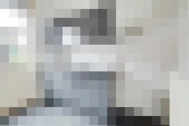 Mendelssohnlaan 41 Apeldoorn thumbnail 6