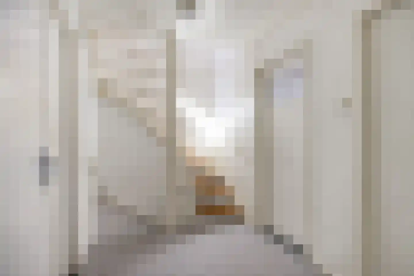 Mendelssohnlaan 5 Vlijmen thumbnail 15