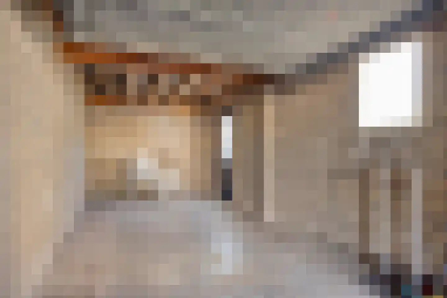 Mendelssohnlaan 5 Vlijmen thumbnail 36