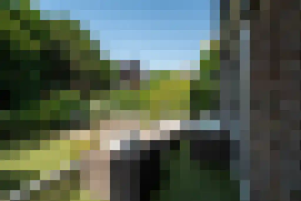 Mendelssohnlaan 67 Rotterdam thumbnail 5