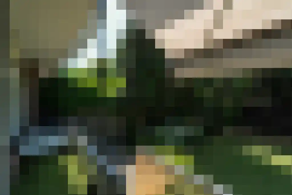 Mendelssohnlaan 67 Rotterdam thumbnail 6