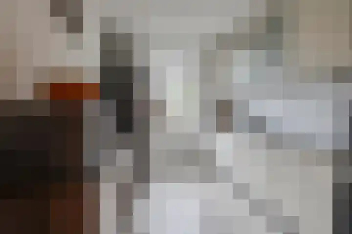 Mendelssohnlaan 7 Culemborg thumbnail 12