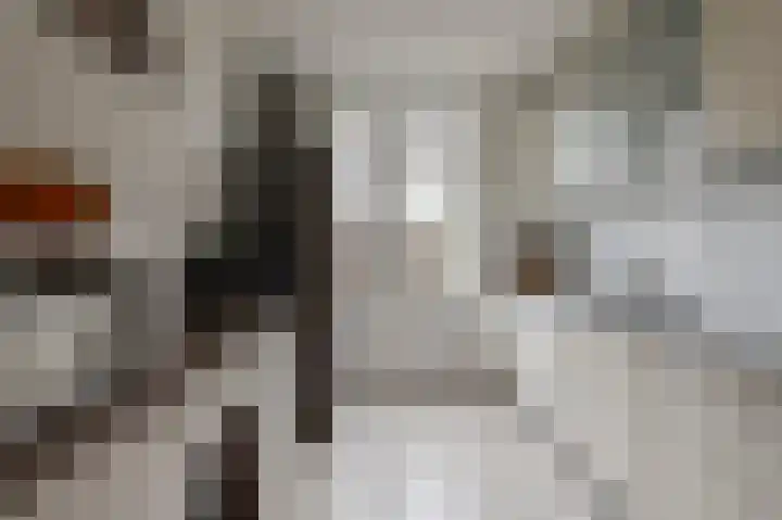 Mendelssohnlaan 7 Culemborg thumbnail 13