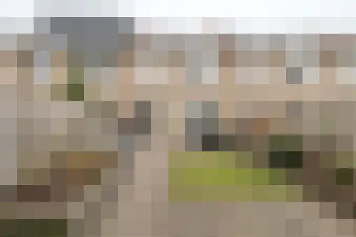 Mendelssohnlaan 7 Culemborg thumbnail 14