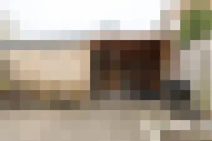Mendelssohnlaan 7 Culemborg thumbnail 16