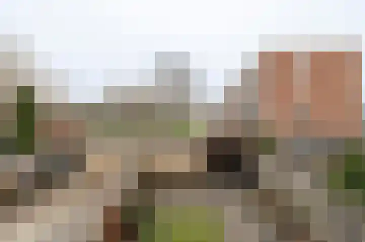 Mendelssohnlaan 7 Culemborg thumbnail 17