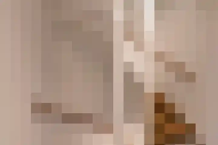 Mendelssohnlaan 7 Culemborg thumbnail 19
