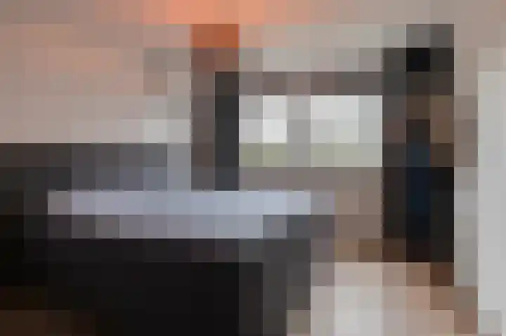 Mendelssohnlaan 7 Culemborg thumbnail 20