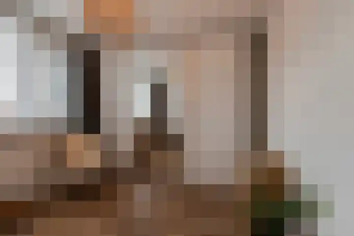 Mendelssohnlaan 7 Culemborg thumbnail 21