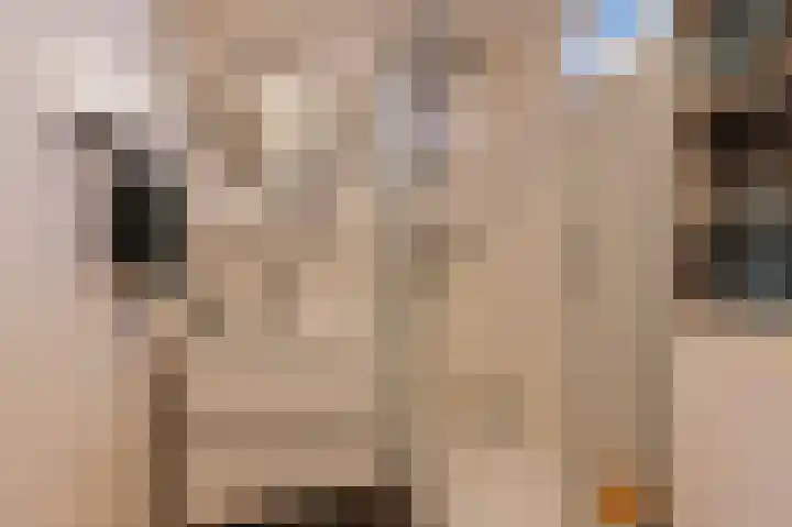 Mendelssohnlaan 7 Culemborg thumbnail 23