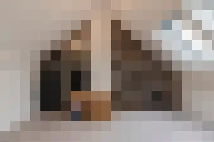 Mendelssohnlaan 7 Culemborg thumbnail 26
