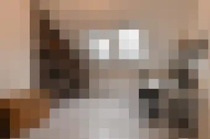 Mendelssohnlaan 7 Culemborg thumbnail 27