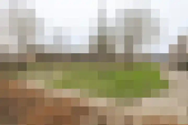 Mendelssohnlaan 7 Culemborg thumbnail 29