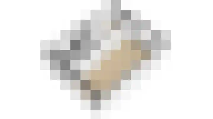 Mendelssohnlaan 7 Culemborg thumbnail 31