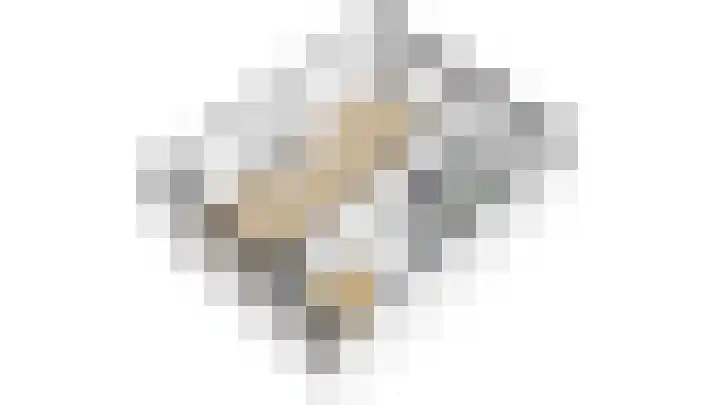 Mendelssohnlaan 7 Culemborg thumbnail 32