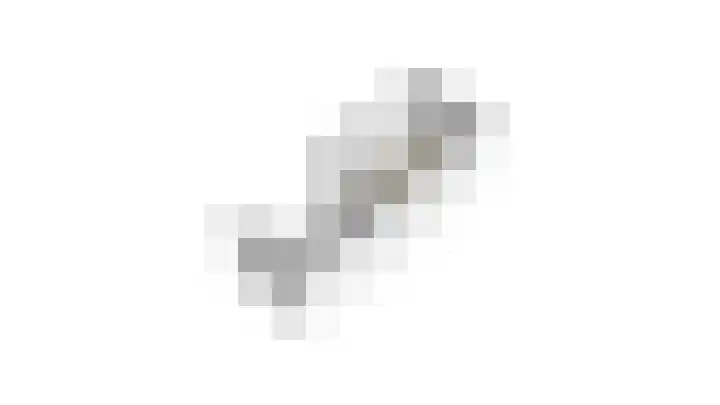 Mendelssohnlaan 7 Culemborg thumbnail 40