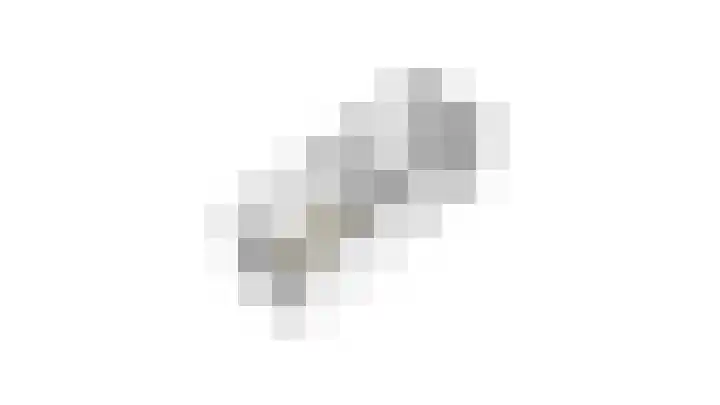 Mendelssohnlaan 7 Culemborg thumbnail 41