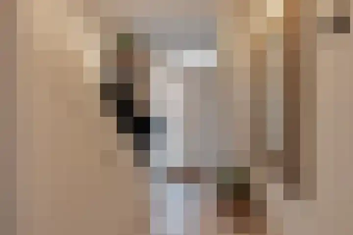 Mendelssohnlaan 7 Culemborg thumbnail 5