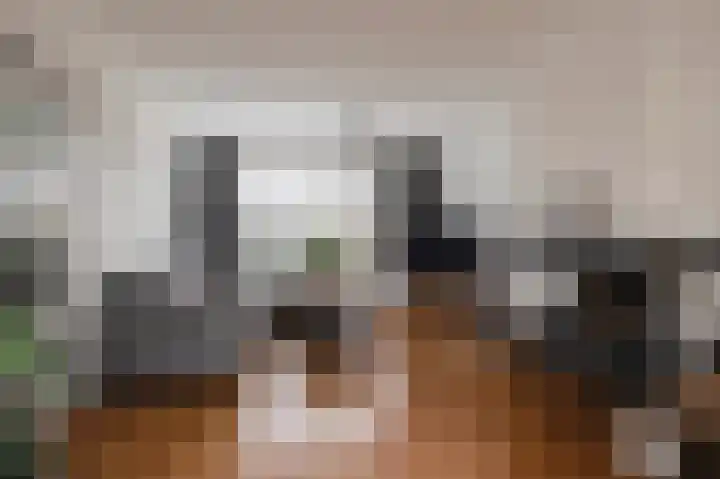 Mendelssohnlaan 7 Culemborg thumbnail 7