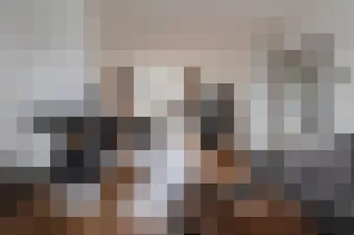 Mendelssohnlaan 7 Culemborg thumbnail 8