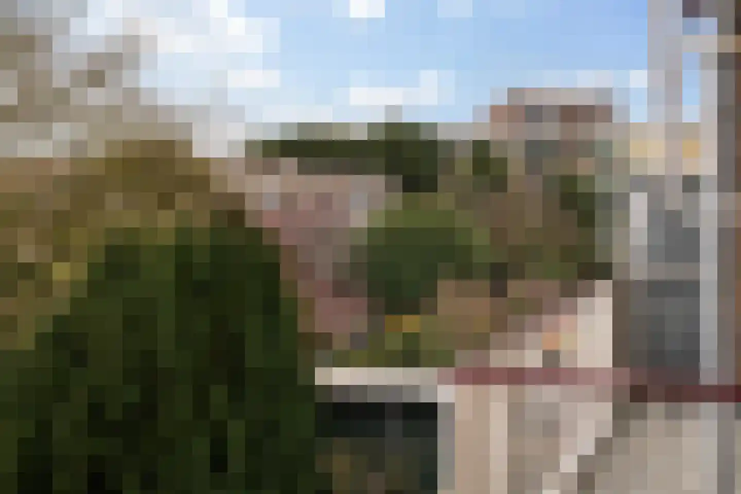 Mendelssohnlaan 75 Rotterdam thumbnail 15