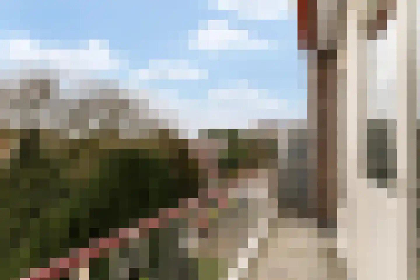 Mendelssohnlaan 75 Rotterdam thumbnail 16