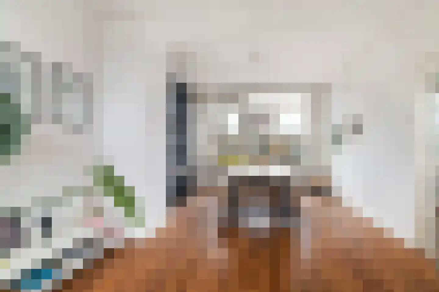 Mendelssohnlaan 75 Rotterdam thumbnail 7