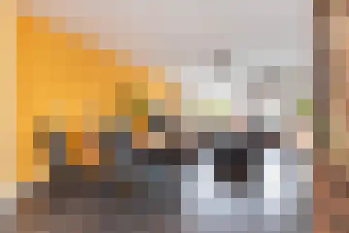 Mendelssohnplantsoen 11 Zwijndrecht thumbnail 8