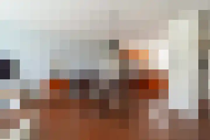 Mendelssohnplantsoen 9 Zwijndrecht thumbnail 10
