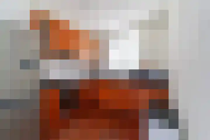 Mendelssohnplantsoen 9 Zwijndrecht thumbnail 12