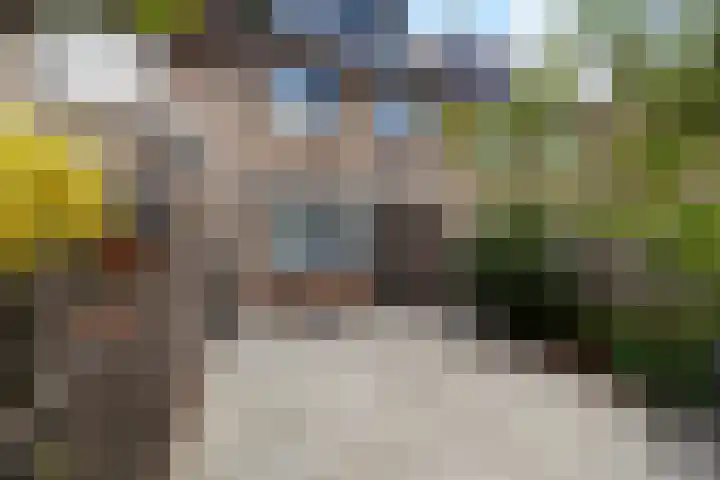 Mendelssohnplantsoen 9 Zwijndrecht thumbnail 27