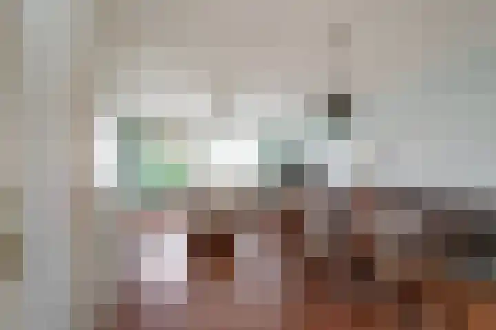 Mendelssohnplantsoen 9 Zwijndrecht thumbnail 8