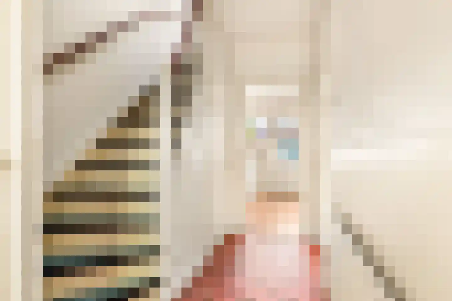 Mendelssohnplein 14 Akersloot thumbnail 12