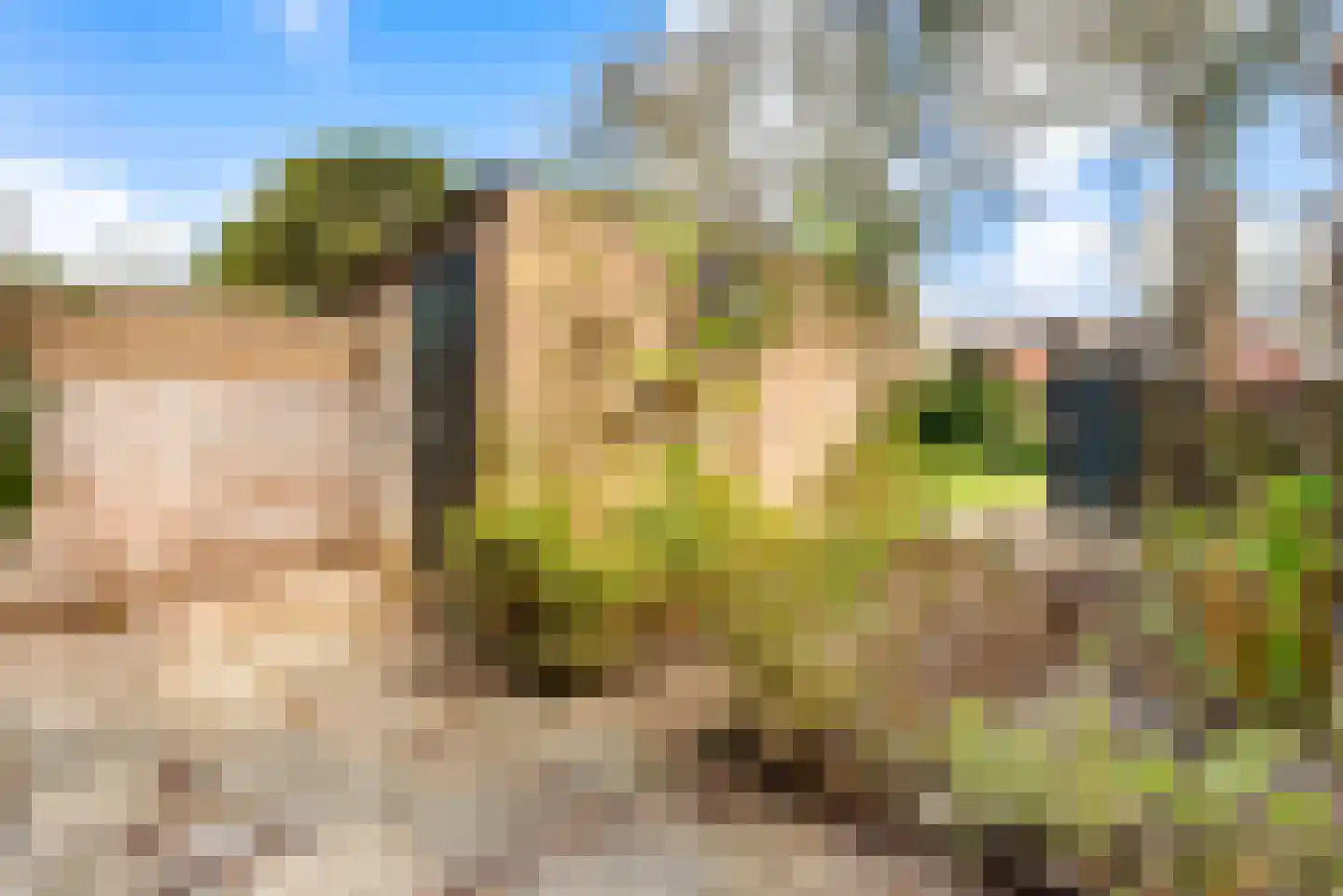 Mendelssohnplein 14 Akersloot thumbnail 41