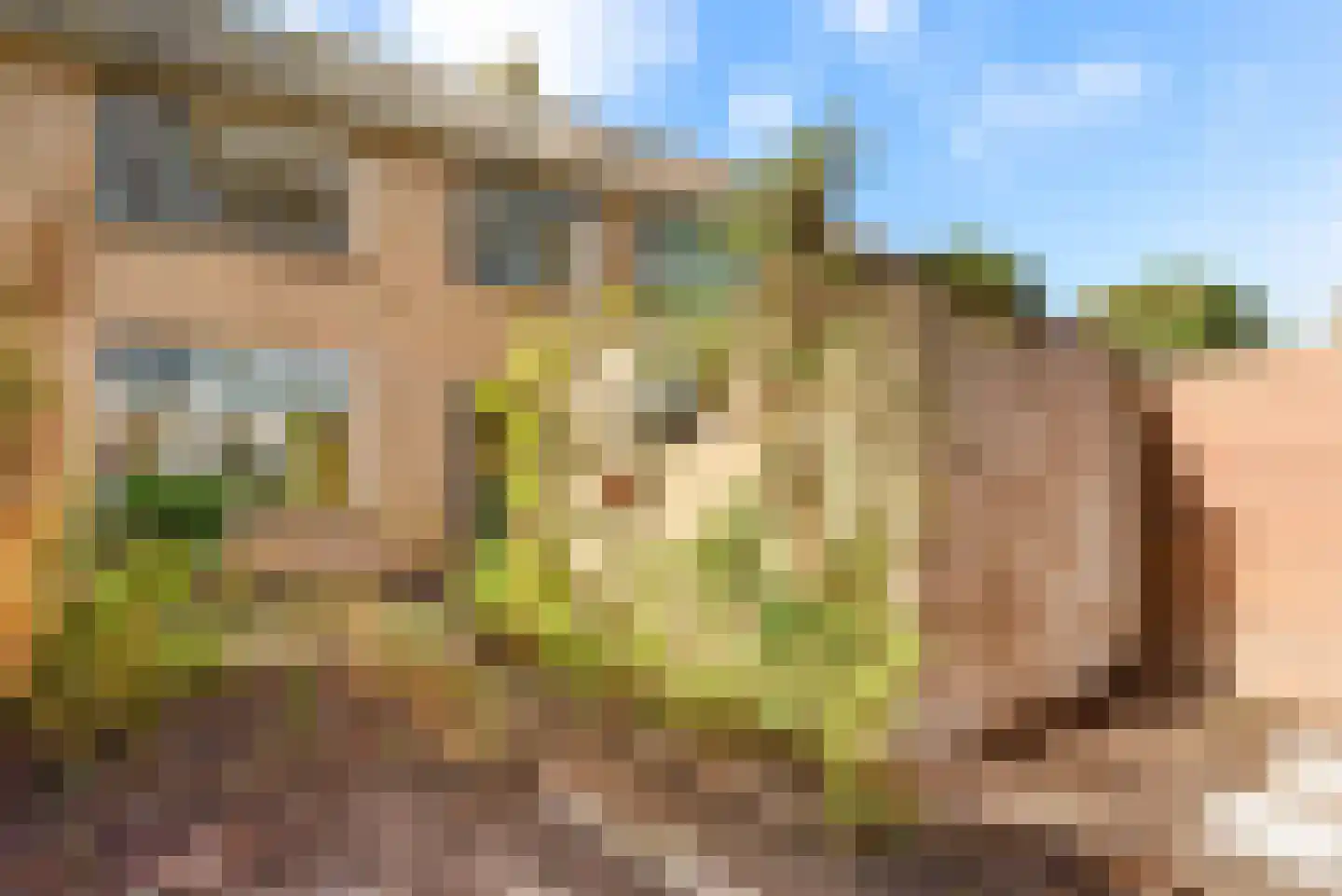 Mendelssohnplein 14 Akersloot thumbnail 42