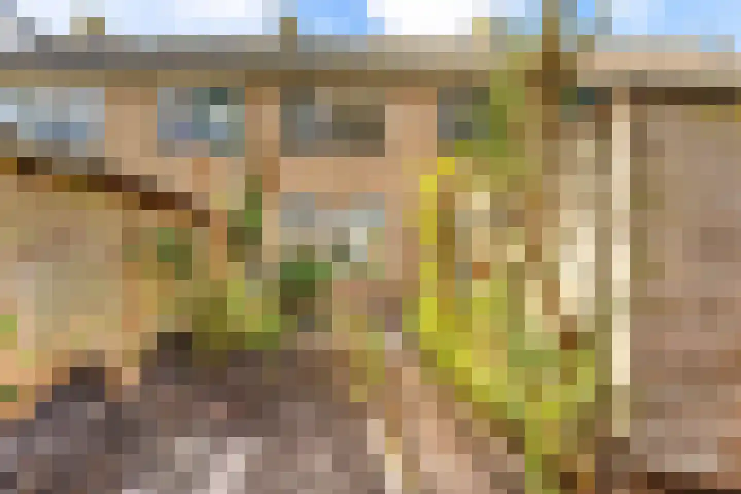 Mendelssohnplein 14 Akersloot thumbnail 43