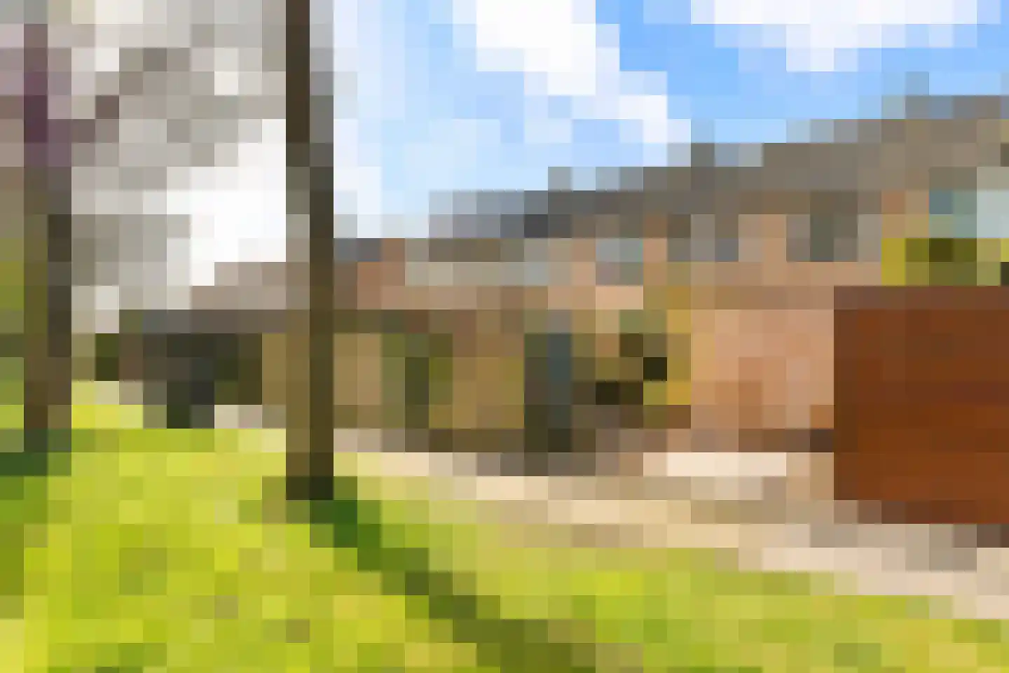 Mendelssohnplein 14 Akersloot thumbnail 44