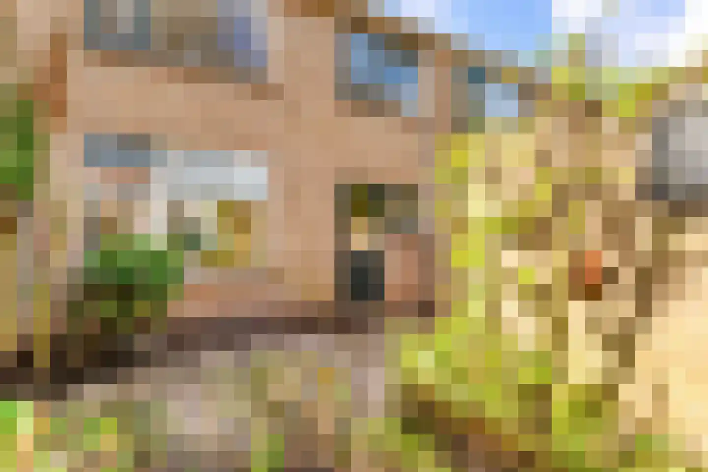 Mendelssohnplein 14 Akersloot thumbnail 46