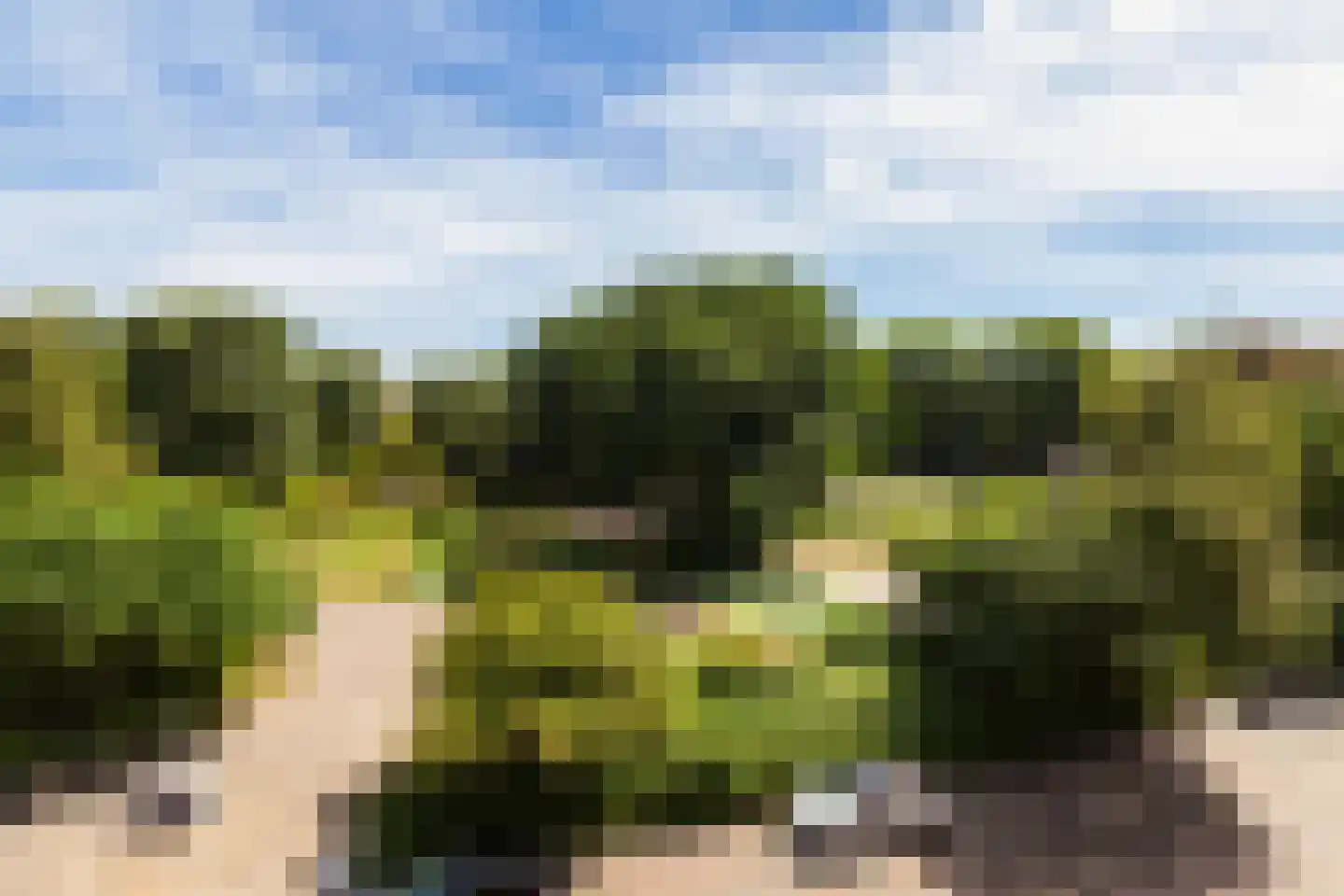 Mendelssohnplein 15 D Vlaardingen thumbnail 11