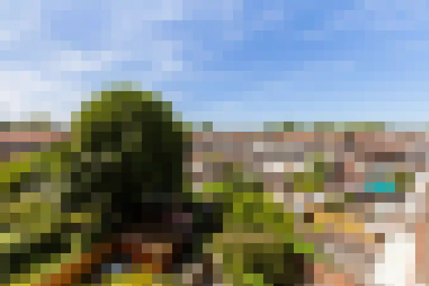 Mendelssohnplein 15 D Vlaardingen thumbnail 25