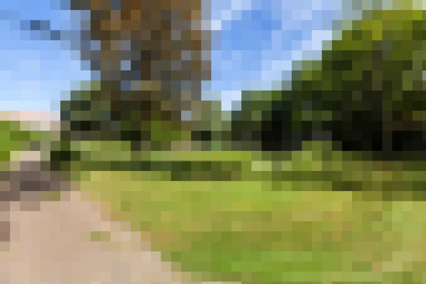Mendelssohnplein 15 D Vlaardingen thumbnail 39