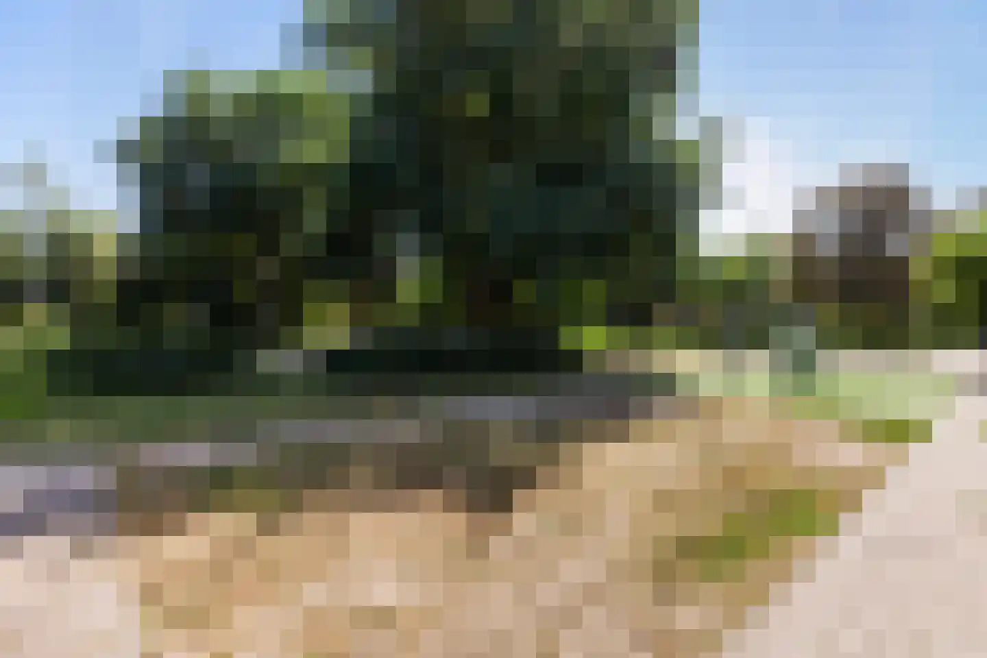 Mendelssohnplein 15 D Vlaardingen thumbnail 41