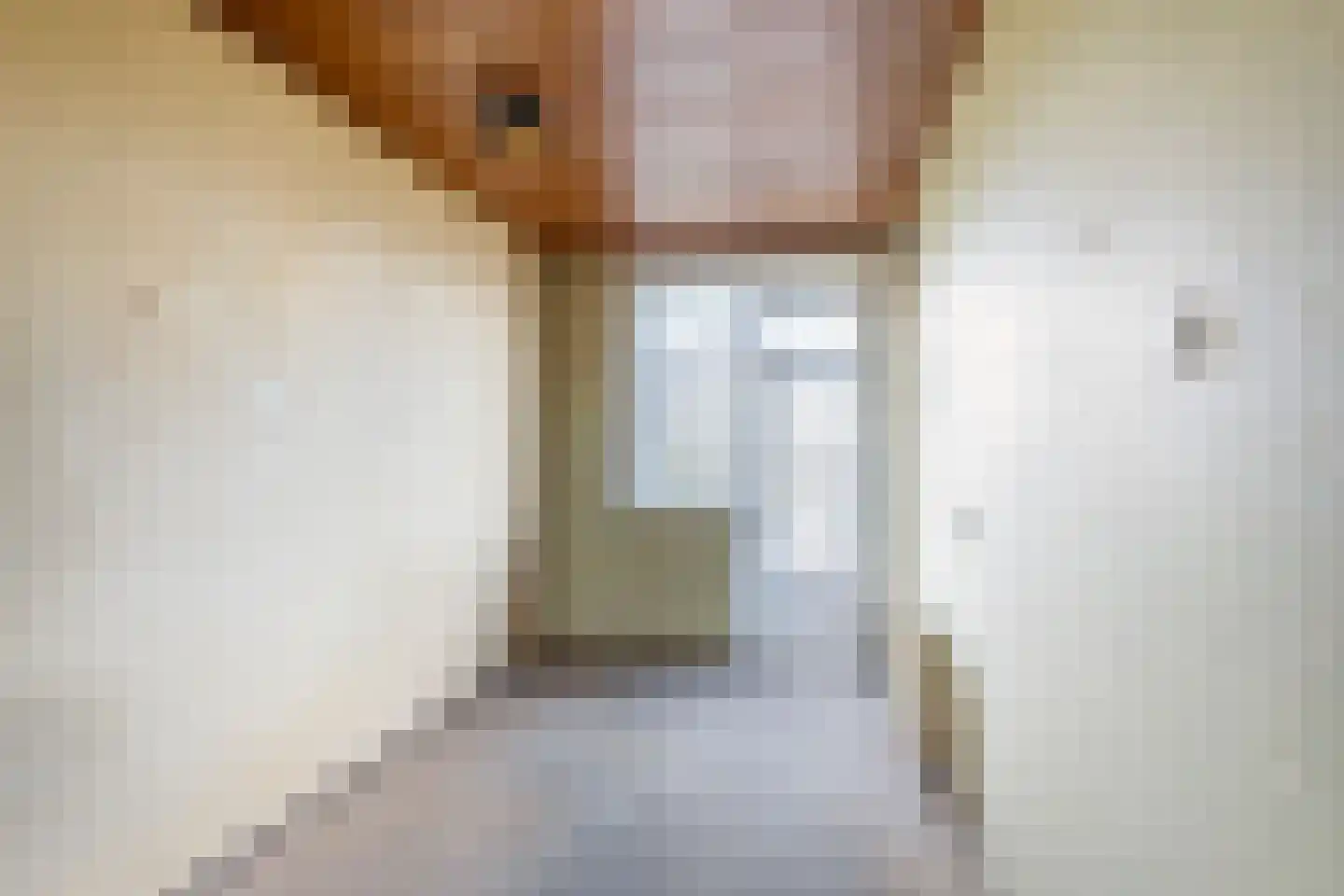 Mendelssohnplein 16 D Vlaardingen thumbnail 9
